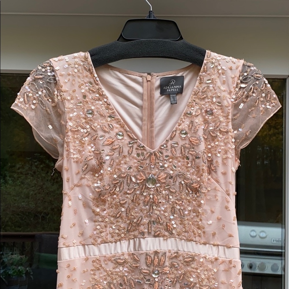 Blush Adrianna Papell Beaded Dress - Picture 4 of 8